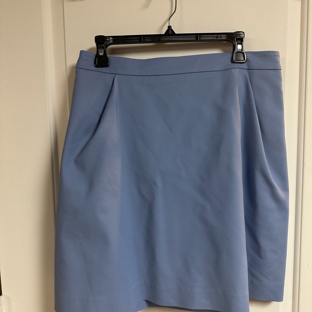 Light blue pleated skirt with zippered trim. Brand new, never worn!